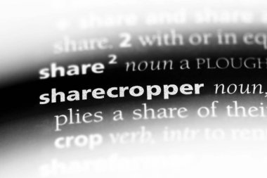 çiftçi Word'de bir sözlük. çiftçi kavramı.