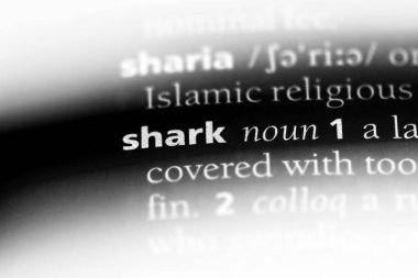 köpekbalığı Word'de bir sözlük. köpekbalığı kavramı.