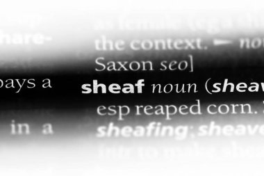 bir sözlüğü'ndeki sözcüğü demeti. demet kavramı.