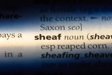 bir sözlüğü'ndeki sözcüğü demeti. demet kavramı.