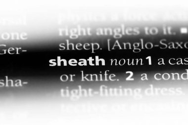 Kılıf Word'de bir sözlük. Kılıf kavramı.