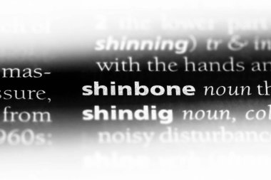 Shinbone Word'de bir sözlük. Shinbone kavramı.