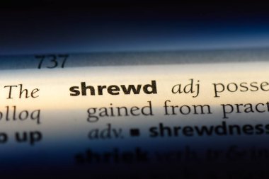 kurnaz tek kelimeyle bir sözlük. kurnaz kavramı.