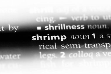 karides Word'de bir sözlük. karides kavramı.