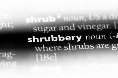 bir sözlüğü'ndeki 