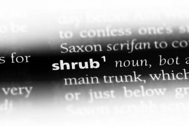 Funda Word'de bir sözlük. Funda kavramı.