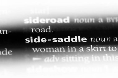 yan eyer bir sözlük tek kelimeyle. yan eyer kavramı.