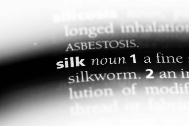 ipek tek kelimeyle bir sözlük. ipek kavramı.