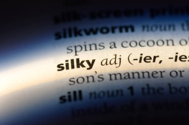 bir sözlüğü'ndeki ipeksi sözcüğü. ipeksi kavramı.