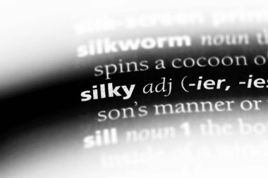 bir sözlüğü'ndeki ipeksi sözcüğü. ipeksi kavramı.