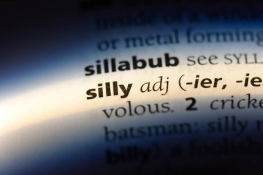 aptal kelime sözlüğe. aptal kavramı.