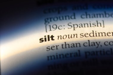 bir sözlüğü'ndeki sözcüğü alüvyon. silt kavramı.