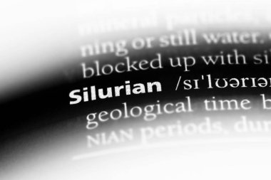 Silüriyen tek kelimeyle bir sözlük. Silüriyen kavramı.