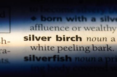 gümüş huş Word'de bir sözlük. gümüş huş kavramı.