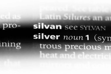 Gümüş word Sözlük içinde. Gümüş kavramı.