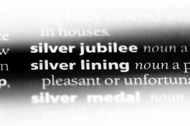 gümüş astar Word'de bir sözlük. gümüş astar kavramı.