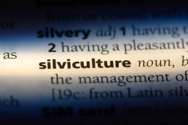 silviculture sözcük sözlüğe. silviculture kavramı.