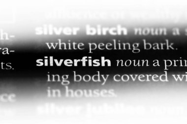 Gümüş Balık Word'de bir sözlük. Gümüş Balık kavramı.