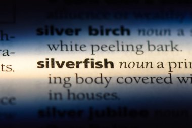 Gümüş Balık Word'de bir sözlük. Gümüş Balık kavramı.