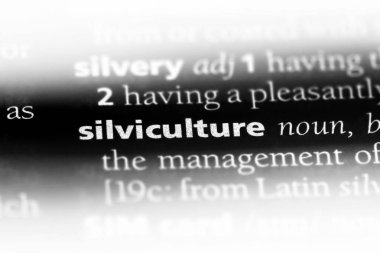 silviculture sözcük sözlüğe. silviculture kavramı.