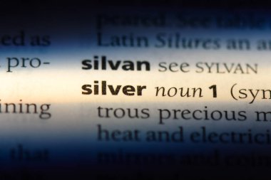 Gümüş word Sözlük içinde. Gümüş kavramı.