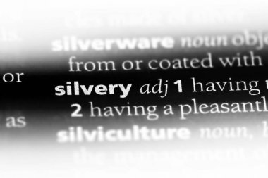 Gümüş word Sözlük içinde. Simli kavramı.