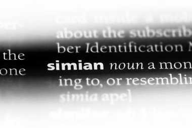 bir sözlüğü'ndeki maymun sözcüğü. maymun kavramı.