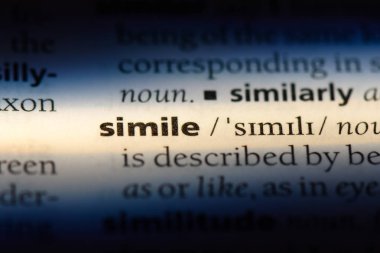 bir sözlüğü'ndeki sözcüğü benzetme. benzetme kavramı.