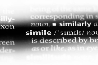 bir sözlüğü'ndeki sözcüğü benzetme. benzetme kavramı.