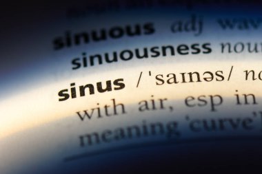 sinüs Word'de bir sözlük. sinüs kavramı.