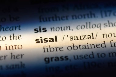 Sisal Word'de bir sözlük. Sisal kavramı.
