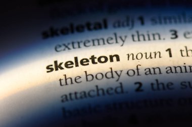 iskelet tek kelimeyle bir sözlük. iskelet kavramı.