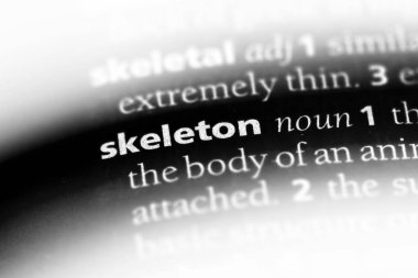 iskelet tek kelimeyle bir sözlük. iskelet kavramı.