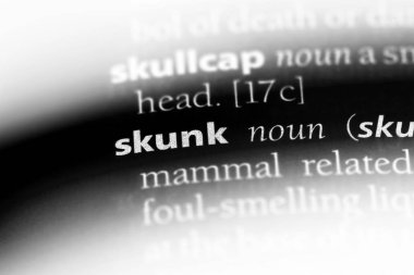 kokarca Word'de bir sözlük. kokarca kavramı.