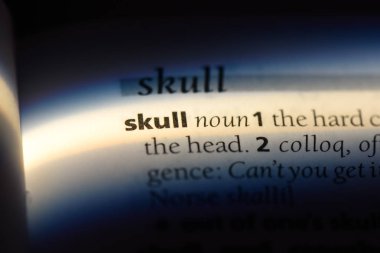 kafatası Word'de bir sözlük. kafatası kavramı.