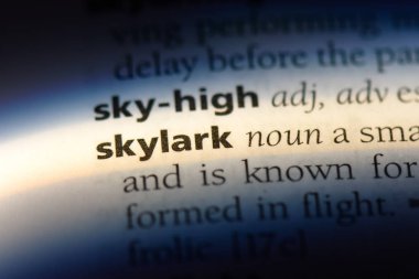 Skylark Word'de bir sözlük. Skylark kavramı.