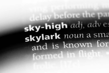 Skylark Word'de bir sözlük. Skylark kavramı.