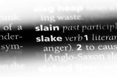 bir sözlüğü'ndeki sözcüğü slake. kavram slake.