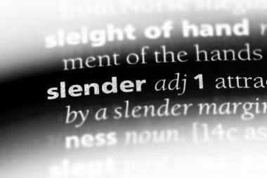 ince tek kelimeyle bir sözlük. ince kavramı.