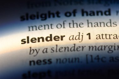 ince tek kelimeyle bir sözlük. ince kavramı.