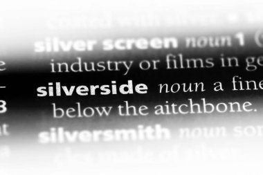 sliverside sözcük sözlüğe. sliverside kavramı.