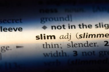 ince tek kelimeyle bir sözlük. ince kavramı.