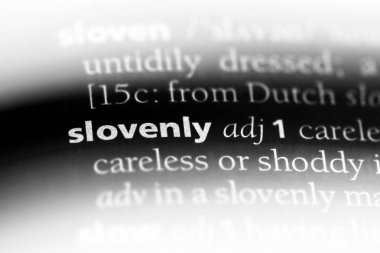 hırpani tek kelimeyle bir sözlük. hırpani kavramı.