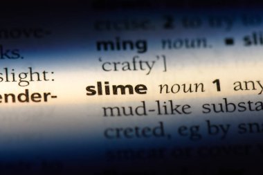 bir sözlüğü'ndeki sözcüğü sümük. sümük kavramı.