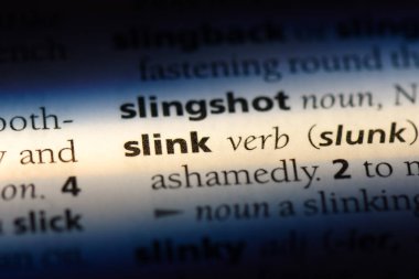bir sözlüğü'ndeki sözcüğü slink. Slink kavramı.