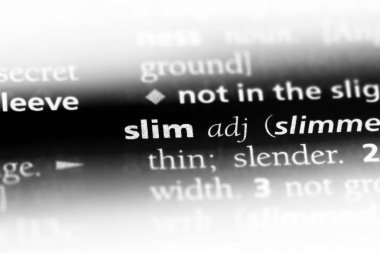 ince tek kelimeyle bir sözlük. ince kavramı.