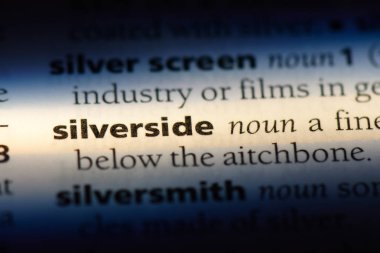 sliverside sözcük sözlüğe. sliverside kavramı.