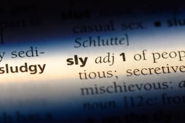 kurnaz tek kelimeyle bir sözlük. kurnaz kavramı.