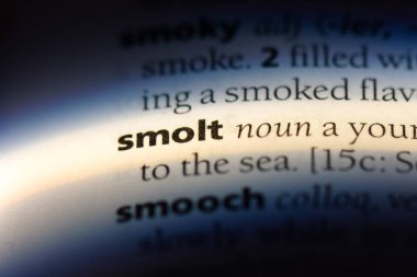 smolt sözcük sözlüğe. smolt kavramı.