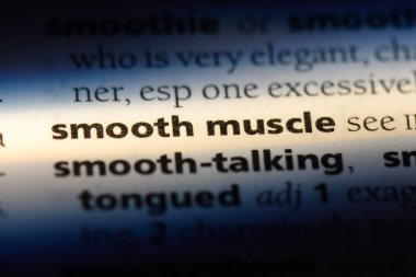 düz kas Word'de bir sözlük. düz kas kavramı.